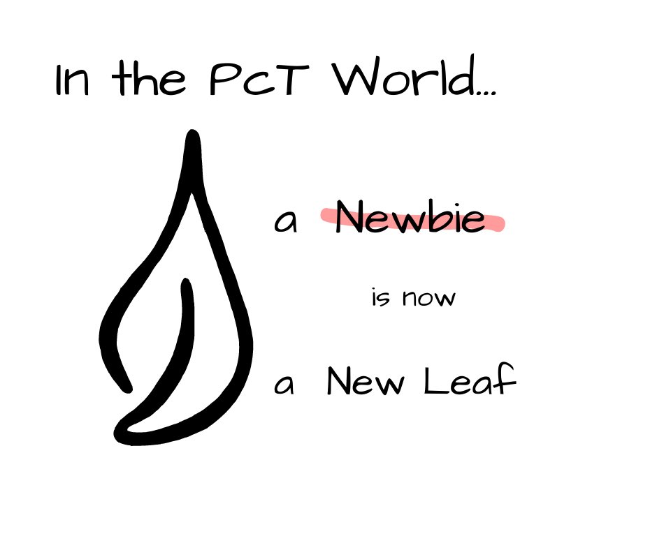 PolymerClayTips's tweet photo. In the PcT World... a Newbie is now called a New Leaf. 

Don't like the word Newbie. It implies ignorance, and a new clayer is definitely not ignorant. They're new, and fresh and growing..just like a new leaf!

So now you’re New Leaf's opening up to growth &amp; possibilities! 🌱🌿🌳 https://t.co/nMYvIUp7Jv