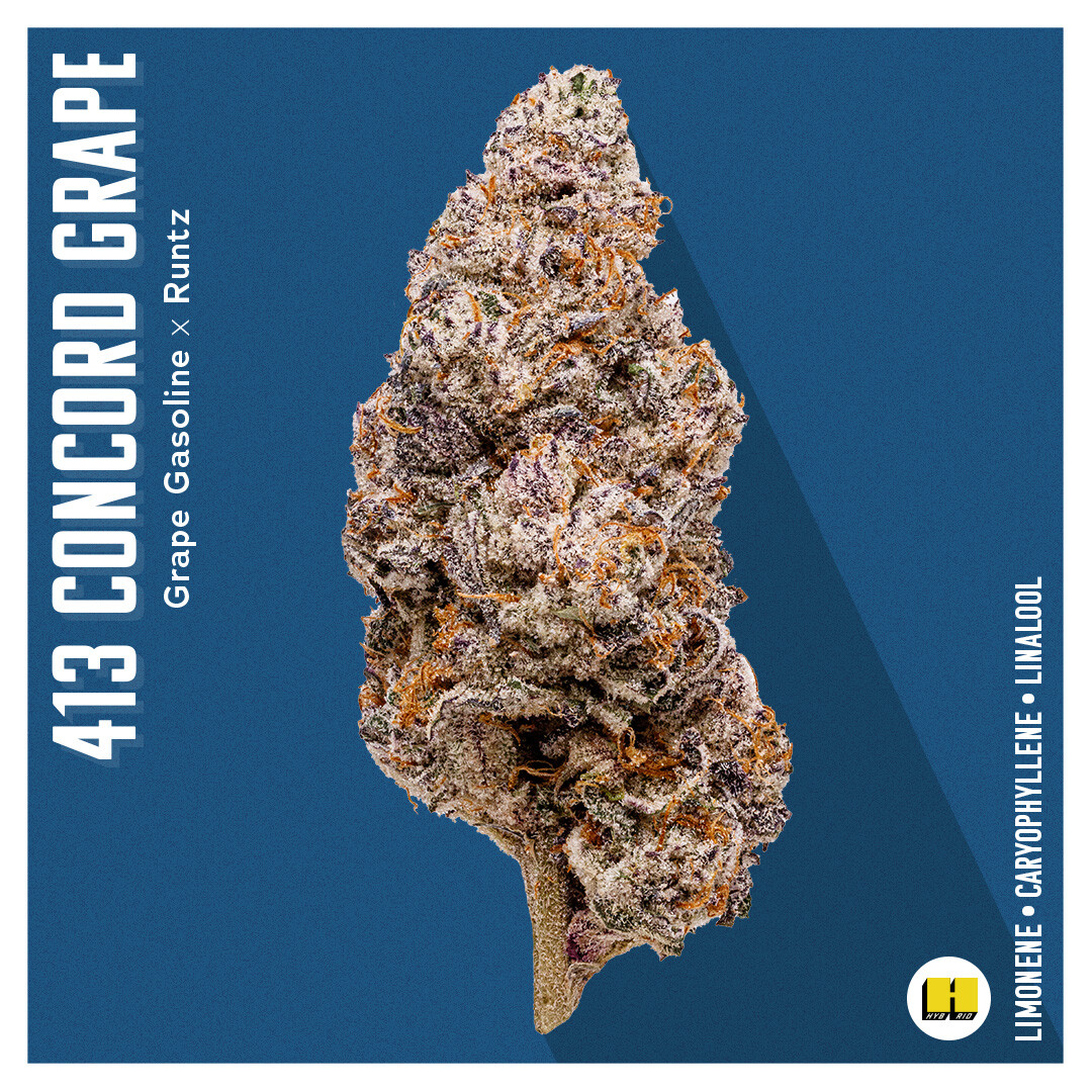 insaforreallife's tweet photo. Featuring the amazing 413 Concord Grape!π Bursting with flavorful terpenes, it offers grape and bubblegum notes with a touch of gas. π Patients have reported a blissful sense of relaxation. π #CannabisCommunity #FlowerFeatureFriday https://t.co/CQkouMsH7M