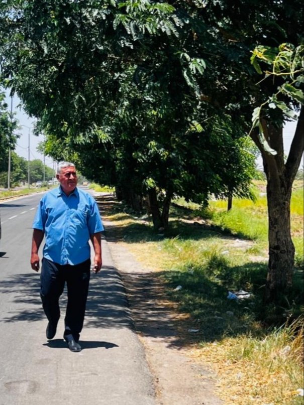 اعمارنا كشجرة حديقة المنزل تكبر تدريجيا وتحمل الثمار دون الشعور بها 
وبعد حين تذبل تلك الاغصان ولن تحمل الثمار  بعدها ... كذلك  هي اعمارنا