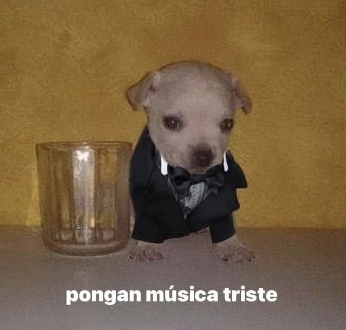 Rolita (@_onerolita) on Twitter photo 