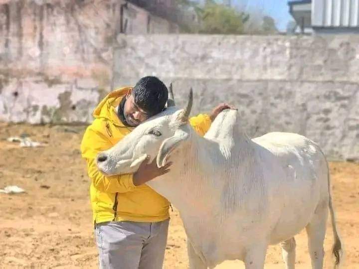 NEWSONEINDIA24's tweet image. हरियाणा के शेर  गौ रक्षक मोनू को  हृदय  से समर्थन है, आपसब भी शेर का समर्थन कर उसे  हौसला प्रदान करें, मैं  हरियाणा भी जाऊंगा भाई से मिलकर उसे हौसला प्रदान करेंगे
#isupportmonumanesar