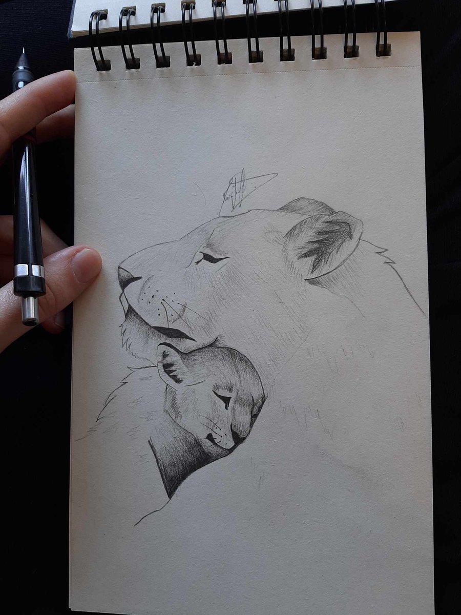 MariaJDe_Castro's tweet photo. Hello #SciArtPortfolioWeek! I'm excited to share some of my latest illustrations/drawings. 

#scicomm #sciart #sciviz https://t.co/cICDKb4OOO