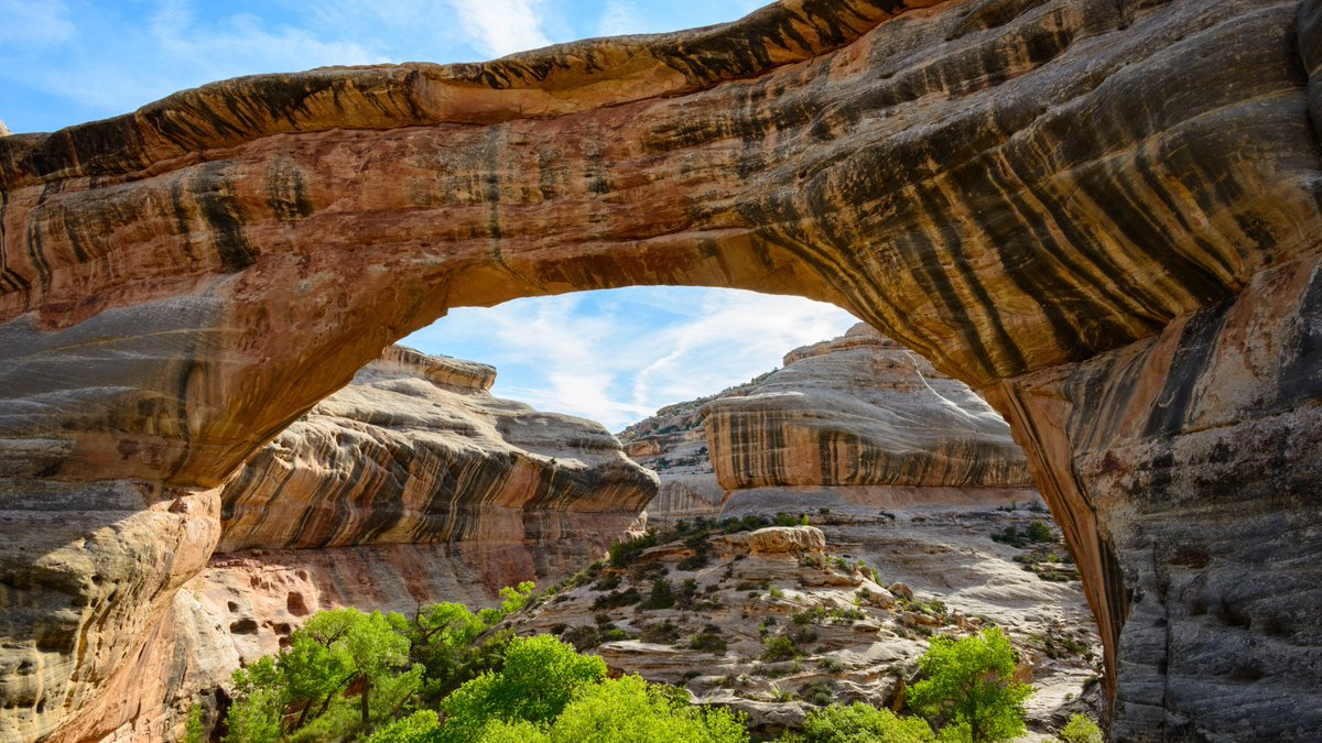 VisitUSAParks's tweet photo. Natural Bridges National Monument showcases 3 magnificent natural bridges—Sipapu, Kachina, and Owachomo—carved over millions of years by the forces of wind and water. Visitors can hike to the bases of these bridges, offering an up-close and personal view of these natural wonders. https://t.co/T7r0BD7xNJ