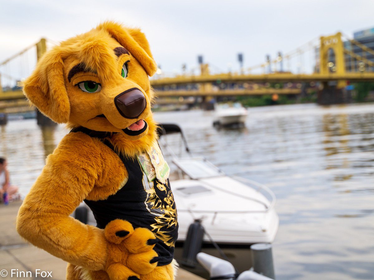 Chase_Retriever's tweet photo. Fun fact even though I’m a golden I actually don’t know how to swim very well..

WHAT YOU GOT SOMETHIN TO SAY TO ME?? 

#FursuitFriday https://t.co/4zFfeMsnR5