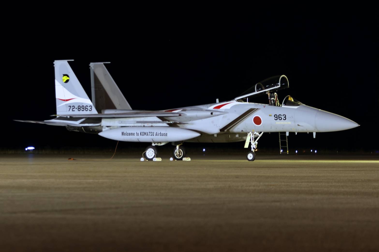 航空自衛隊 日伊合同訓練の記念ワッペン