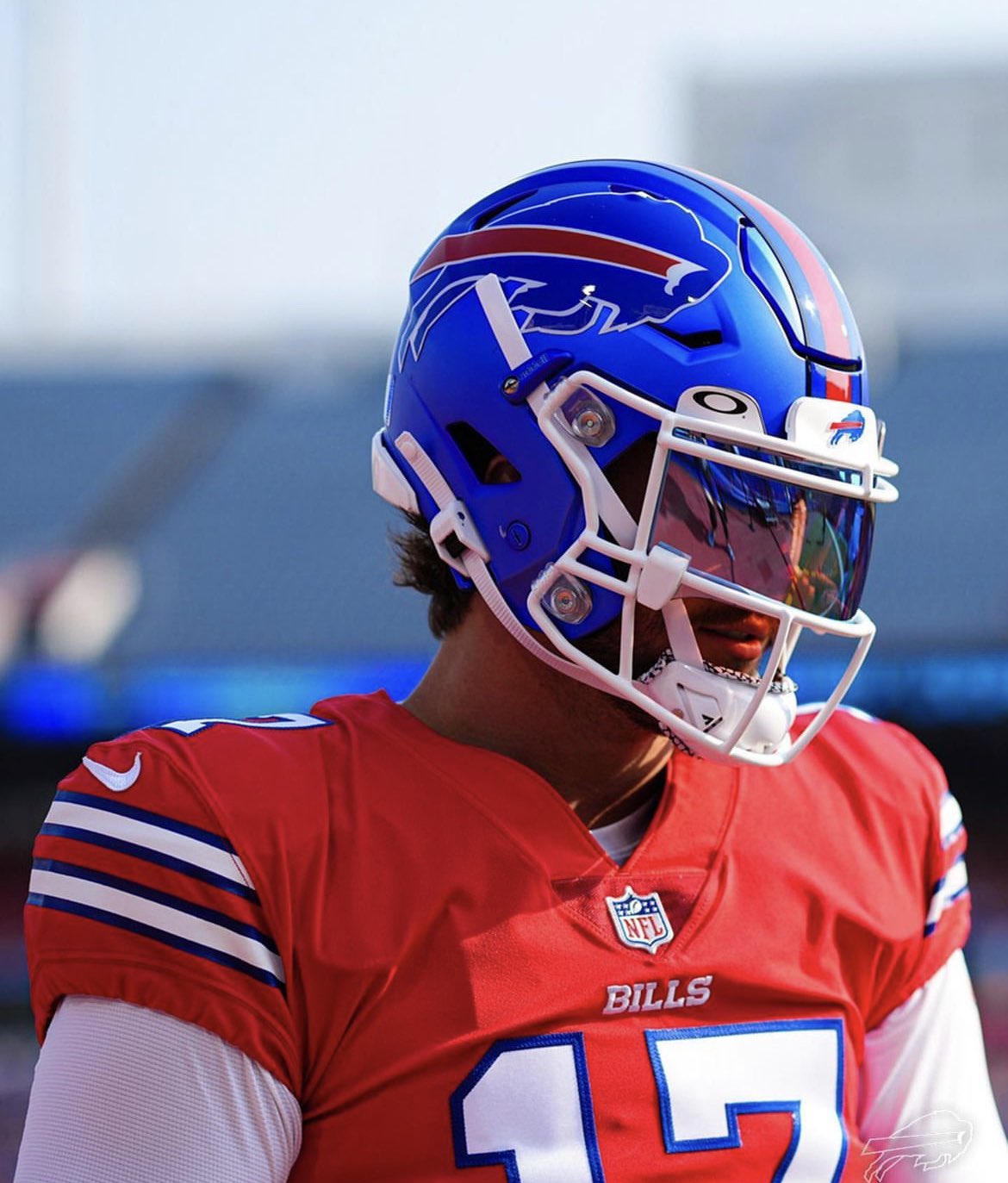 Buffalo bills store blue helmet