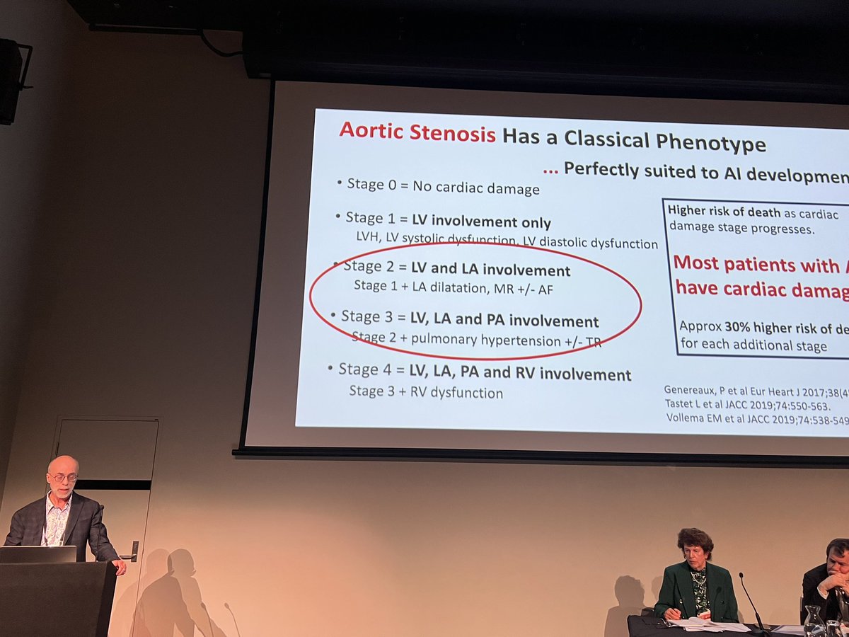 Bianca Coelho tweet media