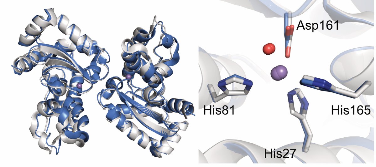 Kevin Waldron tweet media