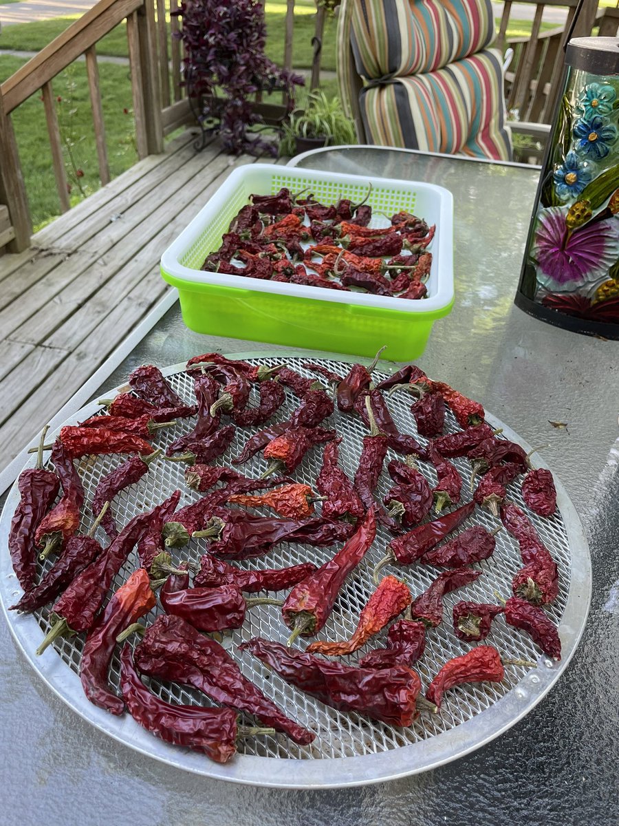 specProjectsLab's tweet image. Time for some out of this world salsa. @TheSpaceChileG1 peppers and @Tomatosphere tomatoes from our classroom garden. @SJSHSPanthers @JacobIkaros