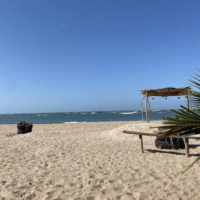 adama32316814's tweet image. #NewProfilePic