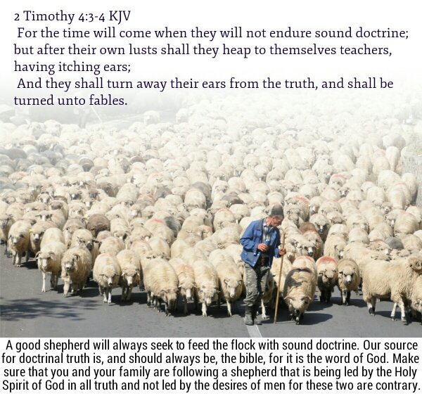GinaHollin's tweet image. It is better to trust in the LORD than to put confidence in man. 
It is better to trust in the LORD than to put confidence in princes.  

~~~ Psalms 118:8-9  KJV  🕊️
#EyesOnJesus #LookinUP #PrayForDiscernment