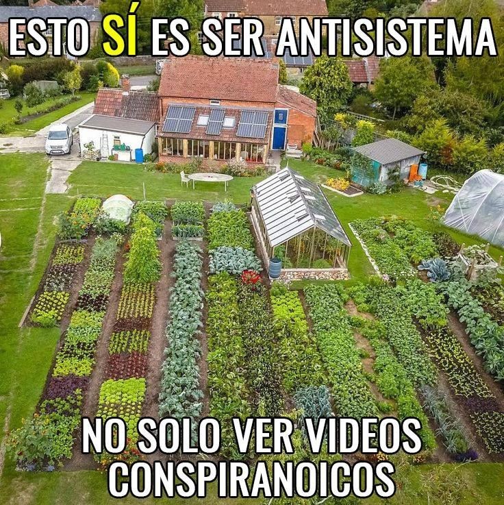 arboles_magicos's tweet image. 