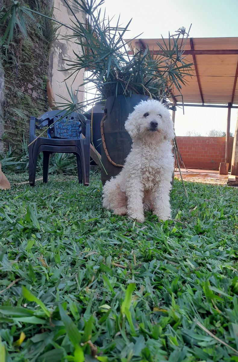 merce_lescar's tweet photo. Las fotos de 15 en el 2013 JAJAJAJAJA https://t.co/QkKJxS1eTa