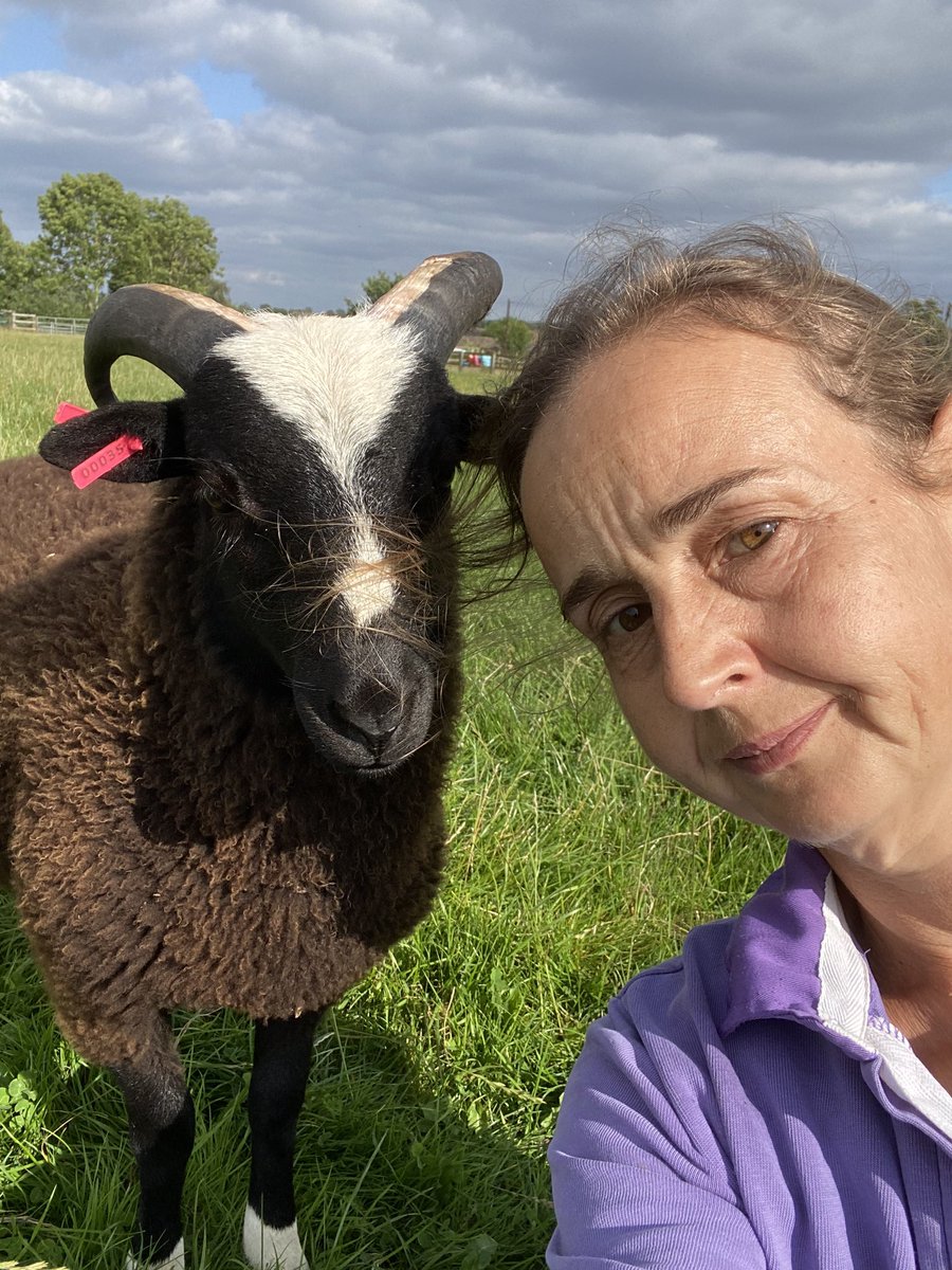 Katie Mander tweet media