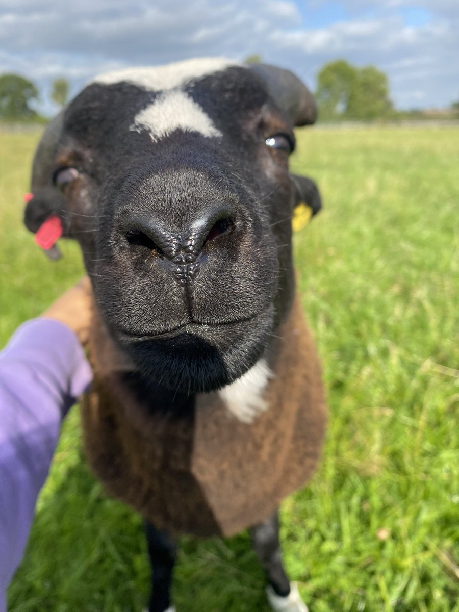 Katie Mander tweet media