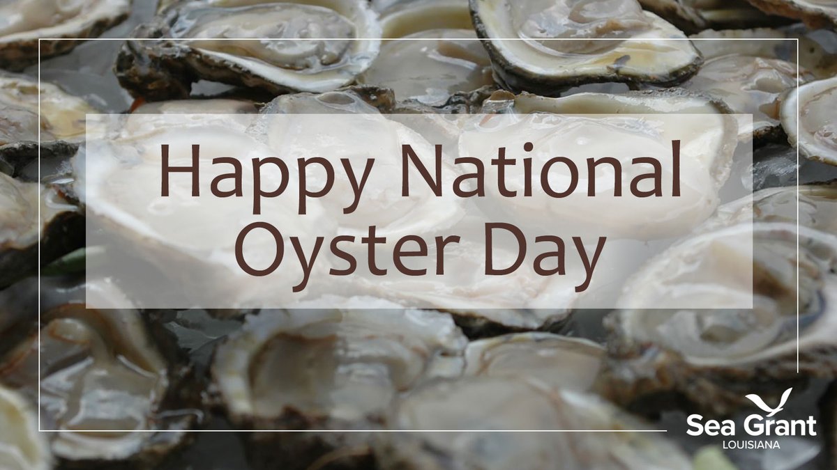 LASeaGrant's tweet photo. Louisiana is the top producer of oysters in the nation. Each and every day 1.3 million Louisiana-produced oysters are consumed somewhere in the US. #DYK #oysterday #louisiana #oysters #laseagrant #seagrant https://t.co/YjUazqBpcN