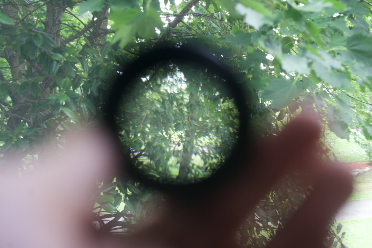 FTPraw's tweet image. 