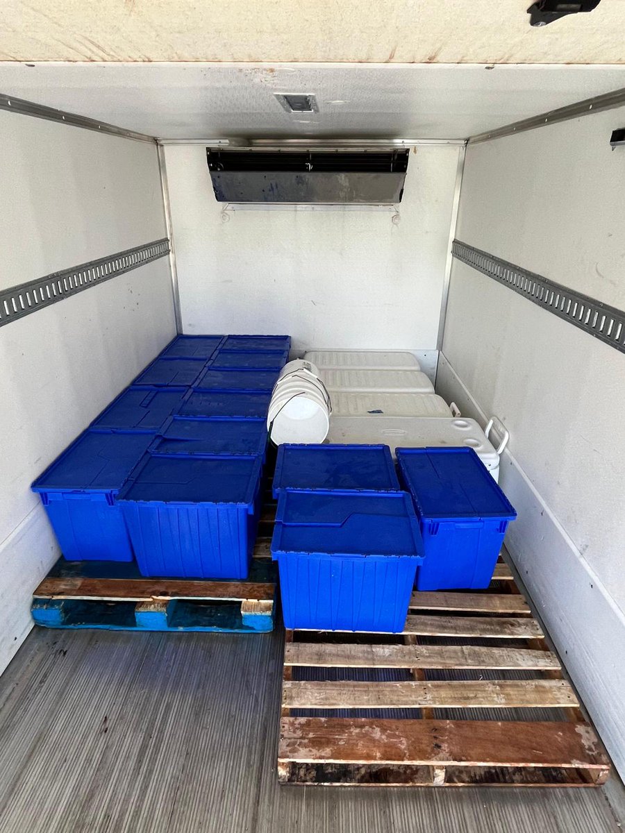 coralcrf's tweet image. In this week’s #FridayFieldUpdate, we rescued about 500 fragments from 25 high-risk Acropora genotypes that were represented only in one nursery and low in stock. These corals are now at KML, thanks to the help of Key Largo Fisheries and their temperature-controlled truck!