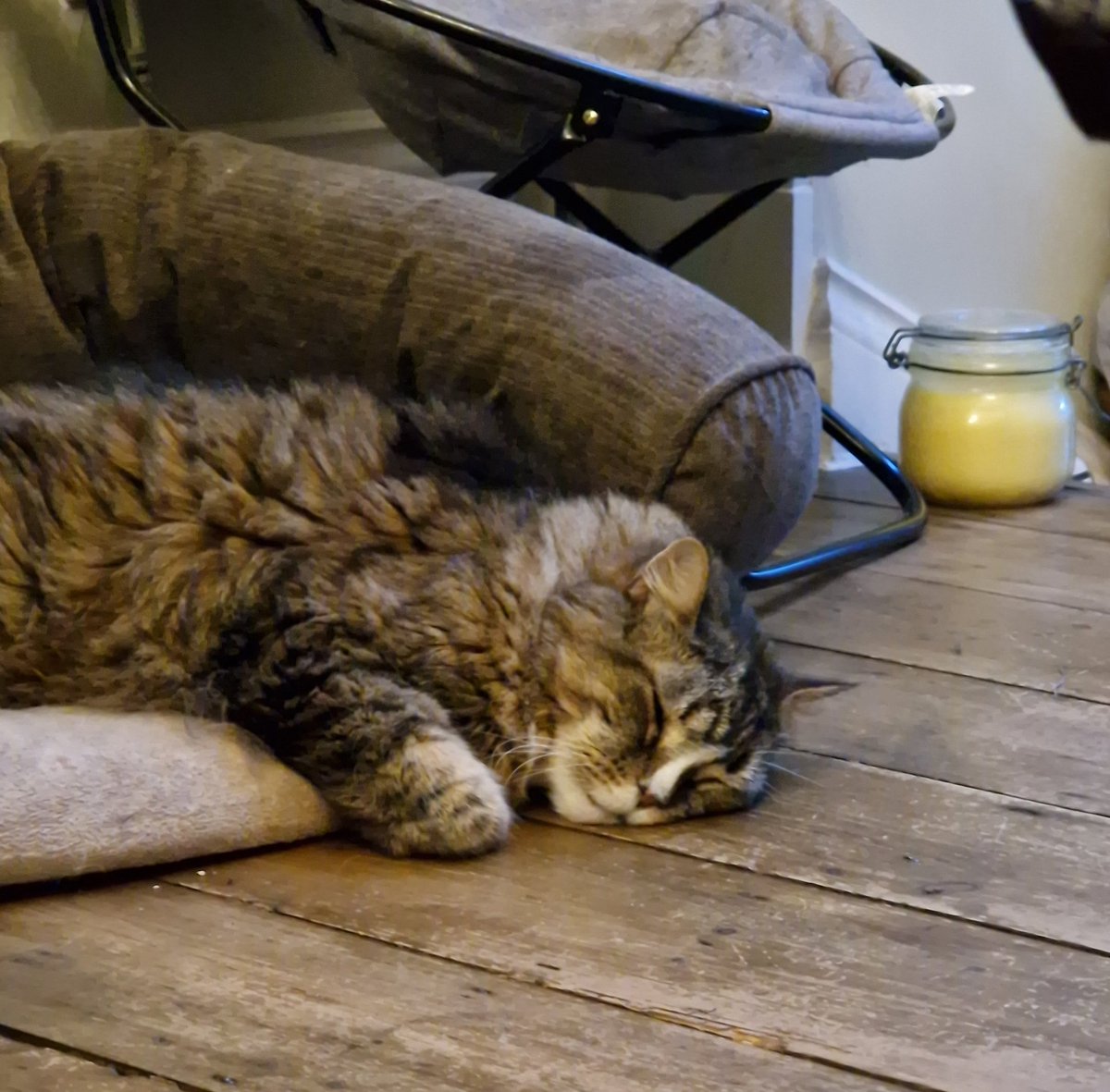 MrsGunnison's tweet photo. Same, Bella, same. #postnights https://t.co/qnfBFDOXft