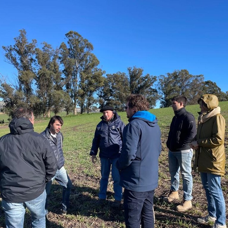 GuilleDivito's tweet photo. Avanza la secuencia de cultivos y seguimos ajustando manejos.
✔️Hacia una mejor huella de C de las rotaciones🌾♻️🪱
#ProCarbono @AgroBayerAR
Ea. Sta Marta.
📍Balcarce. https://t.co/hx1bCwVBhR