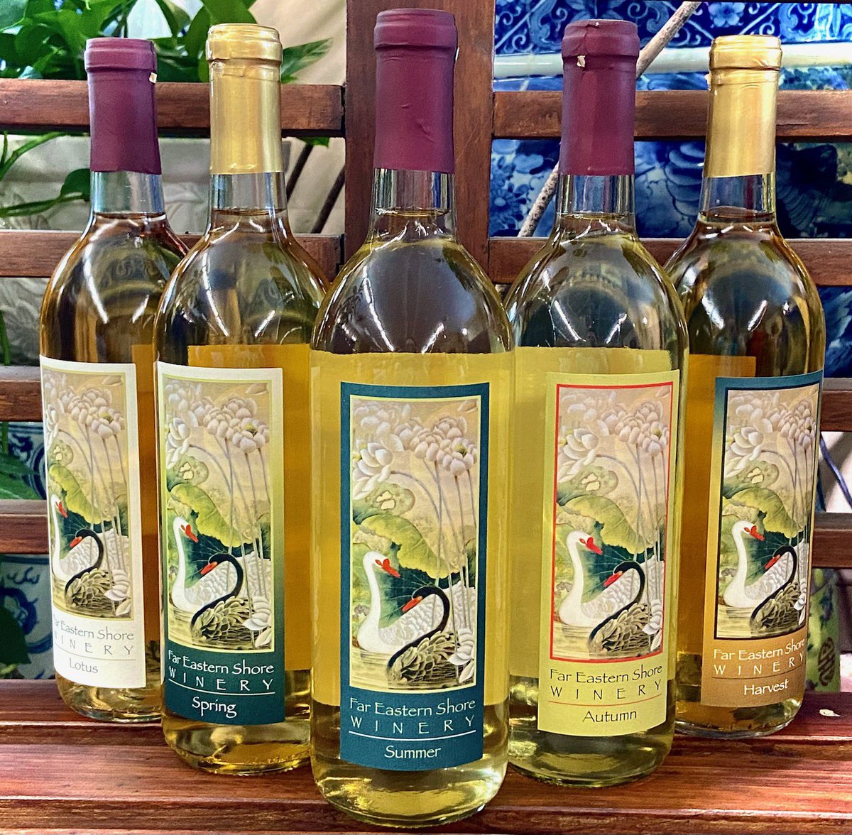 FESWinery's tweet photo. Happy #NationalWhiteWineDay from Lotus, Spring, Summer, Autumn and Harvest!! Which one is your pick to open to get ready for the weekend? https://t.co/mMuytkc1dH