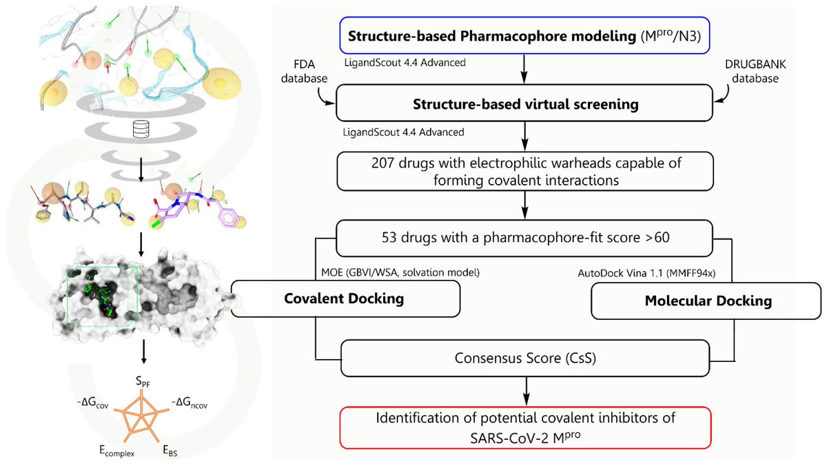 We established a #cheminformatics protocol that allows the identification and design of covalent peptidomimetic inhibitors of #SARSCoV2 Mpro. This protocol can be extrapolated in the search for therapeutic alternatives for other infectious agents. <a href="/ESM_Oficial/">ESM_Oficial</a>