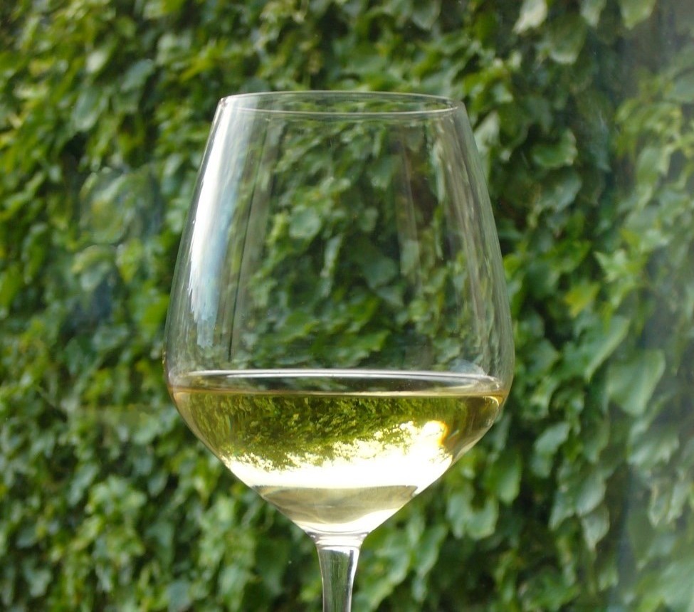 FoodStarBlog tweet picture