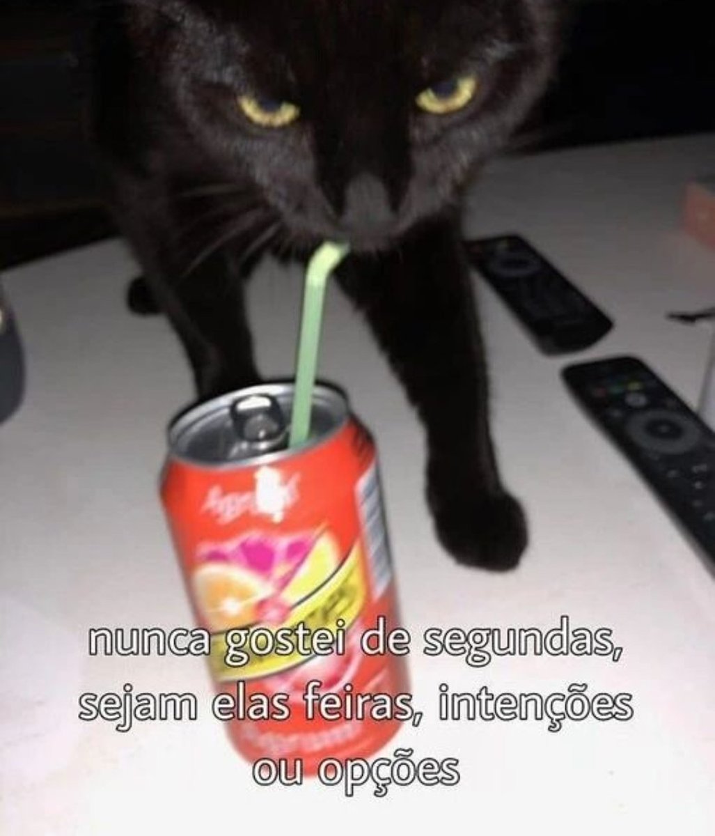 Shitpost só que de verdade (@shitpostverdade) on Twitter photo 