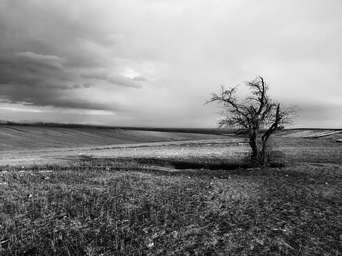 <a href="/Luna_night98/">Luna🌙</a> <a href="/beam_cash/">beam (acq Modern Treasury)</a> <a href="/sbtwolf/">bcrandall805 (Bobby) NFTNYC 2025 DRIP Sol Tez Eth</a> <a href="/Maryam_nzri/">Mary</a> <a href="/DejaVuMoon22/">❤️‍🔥Deja Vu❤️‍🔥</a> Beautiful photo dear❤️

Hollow
0.05 ETH on foundation

foundation.app/@arii_graphy/h…