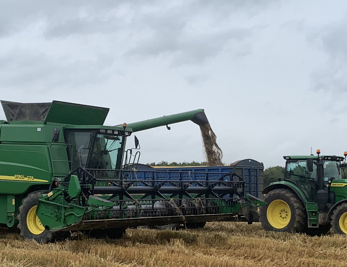 ParryJea's tweet photo. I am so grateful to the dedicated farm staff … grabbing small opportunities when the weather allows is the story of harvest 23. Winter oats sown by the @GurteenCollege crops and machinery students, combined this evening at 19% moisture https://t.co/5TvvzPpWcd