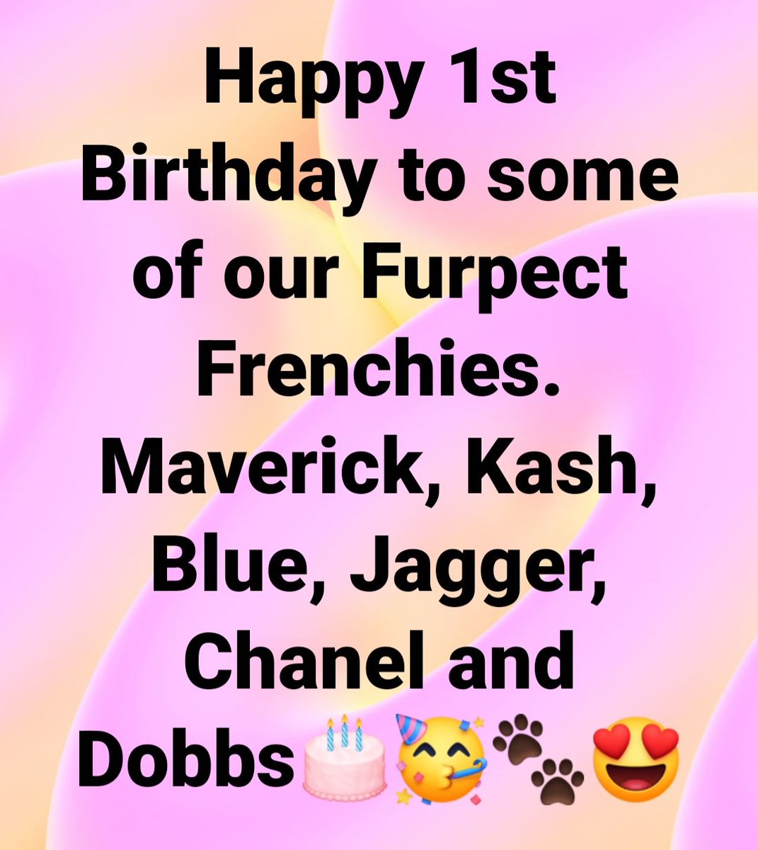 FurpectFrenchie's tweet photo. https://t.co/74pWm24YX5 https://t.co/Cp9ah9H4YW
