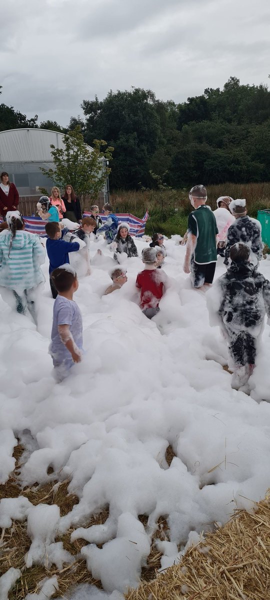 Brendan Morrissey tweet media