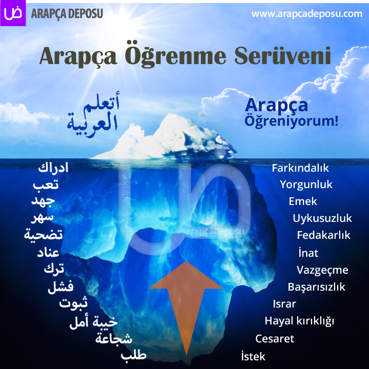 arapcadeposu's tweet photo. Arapça öğrenme serüveninin basamakları. Siz hangi basamaktasınız?
.
.
#arapçadersi #arapcadersi #modernarapça #pratikarapça #arapçaöğreniyorum #arapcaogreniyorum #sıfırdanarapça #ydsarapça #yökdilarapça #ilahiyatarapça #arapçaözelders #arapcadeposu #arapçadilbilgisi #arapçagramer https://t.co/x5RLNBow4j