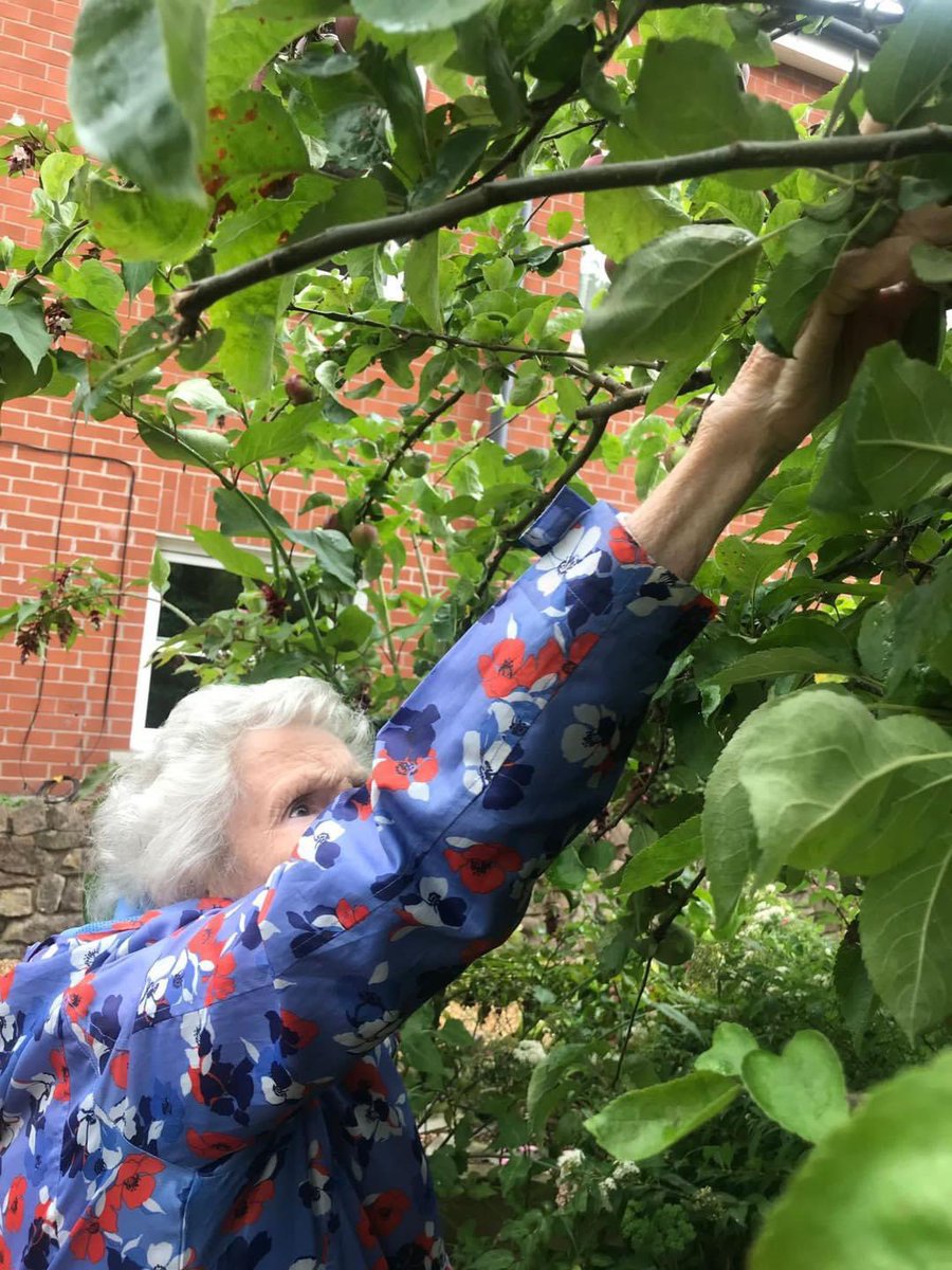 KeateCare's tweet photo. You can not get any fresher than tonightβs apple pie for tea, Alec and Vivienne only picked the apples this morning from our very own apple tree. It looks delicious π π₯§. #carehome #homebaking #applepie #bakingapples #cheshire #carehomeactivities https://t.co/HkDPRkIb6m