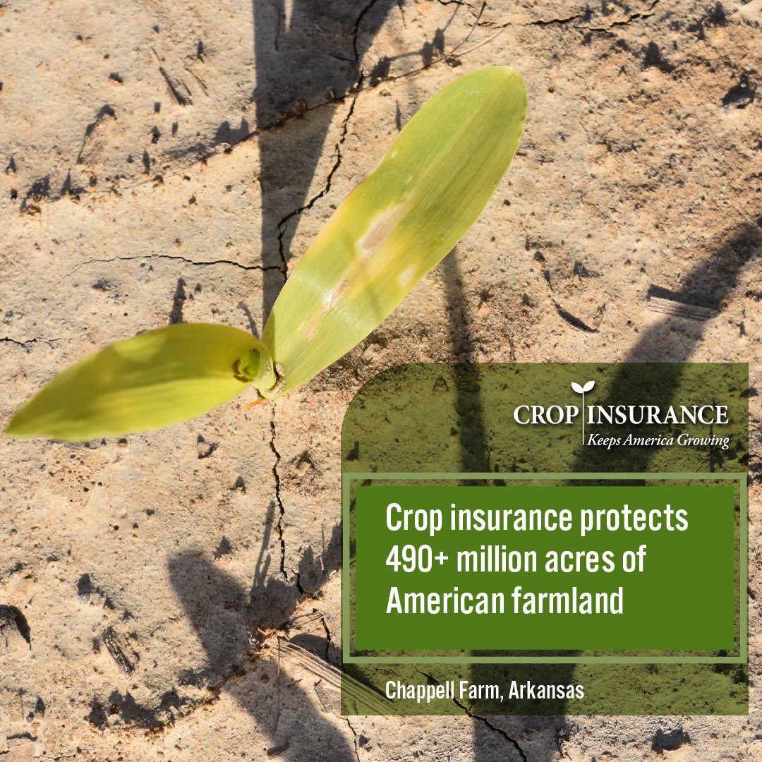 UScropinsurance's tweet photo. #CropInsurance protects more than 490 million acres. These acres represent thousands of farming families. Each farm is an integral part of our nation’s food supply and our economy.
Learn how crop insurance protects your state at https://t.co/dZ1Vc5w3Dv. #InsureMyState https://t.co/RwKEV0Z2Rt