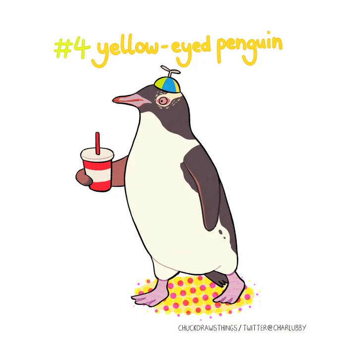 avian august 4: yellow-eyed penguin  #AvianAugust #AvianAugust2023