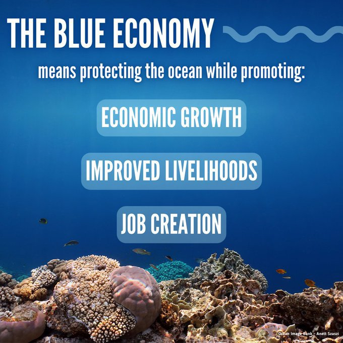 The blue economy means protecting the ocean while promoting:

🔹 economic growth

🔹 improved livelihoods

🔹 job creation

See how you can do your part to help #SaveOurOcean: un.org/sustainabledev…