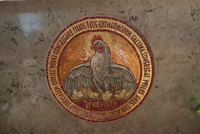 FatherMatthew's tweet photo. @bettyaberlin “How often I have longed to gather your children together, as a hen gathers her chicks under her wings.” Matthew 23:37 https://t.co/122iy8Wn1I
