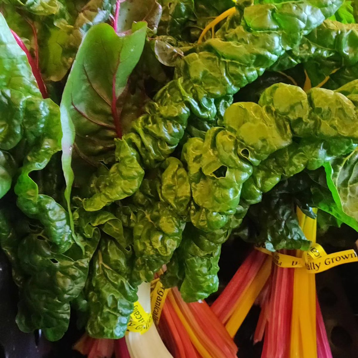 Berkeley Food Pantry tweet media