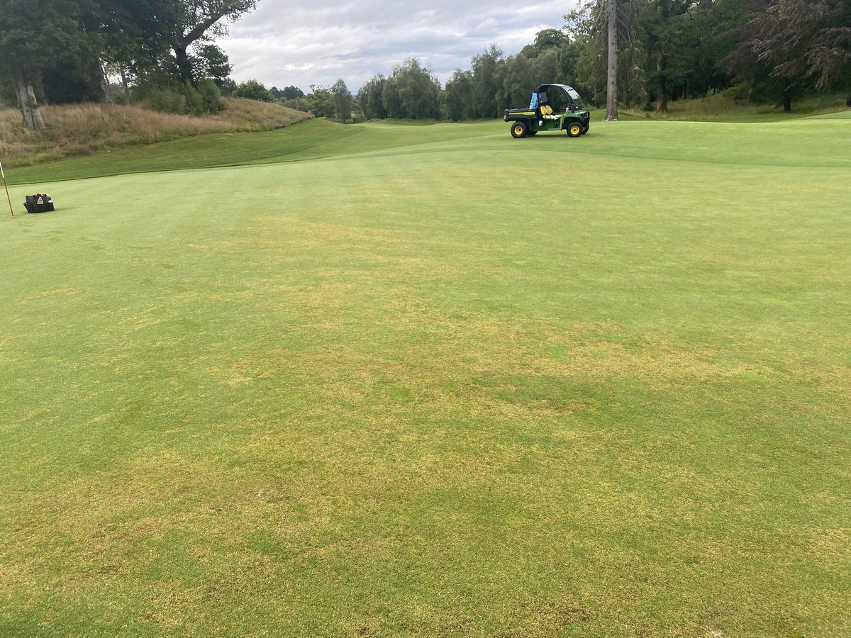 davidcoleinone's tweet photo. @iTweetTurf Anthracnose damage at Loch Lomond 2021 https://t.co/vNfrQwUg5X