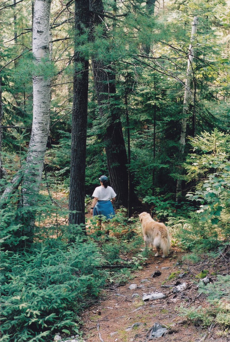ThomCostea's tweet photo. Just published on https://t.co/C8miYfMskF
Celebrate the Canadian August long weekend with . . .
The latest Freeborne Universal Network Blog
by Thom Costea
Get Outside and Go Camping

#canadianwriter #camping #wildernessadventure #naturephotographer #myontario #longweekendfun https://t.co/UVLiKFFXmD