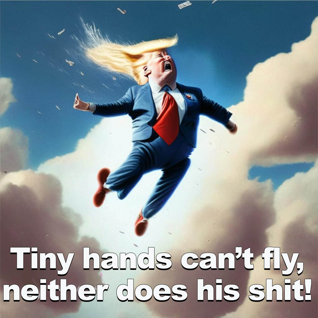 TheHodlLife's tweet photo. I didn't feel safe in Donald Trump's bubble of lies.  Trump's "wink & a smile" talking about "I alone saved Christmas, or "the walls coming soon," let alone an "infrastructure week!" America isn't perfect, but we are back on track investing in our nation! #TrumpsWeak, #GoJoe🇺🇸👍