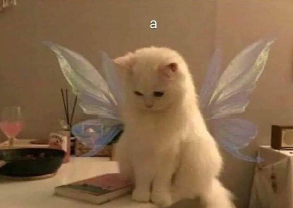 luuciatombillaa's tweet photo. la mariposa de mi estómago viendo como me dejaste en visto https://t.co/mpgBTmcWjO