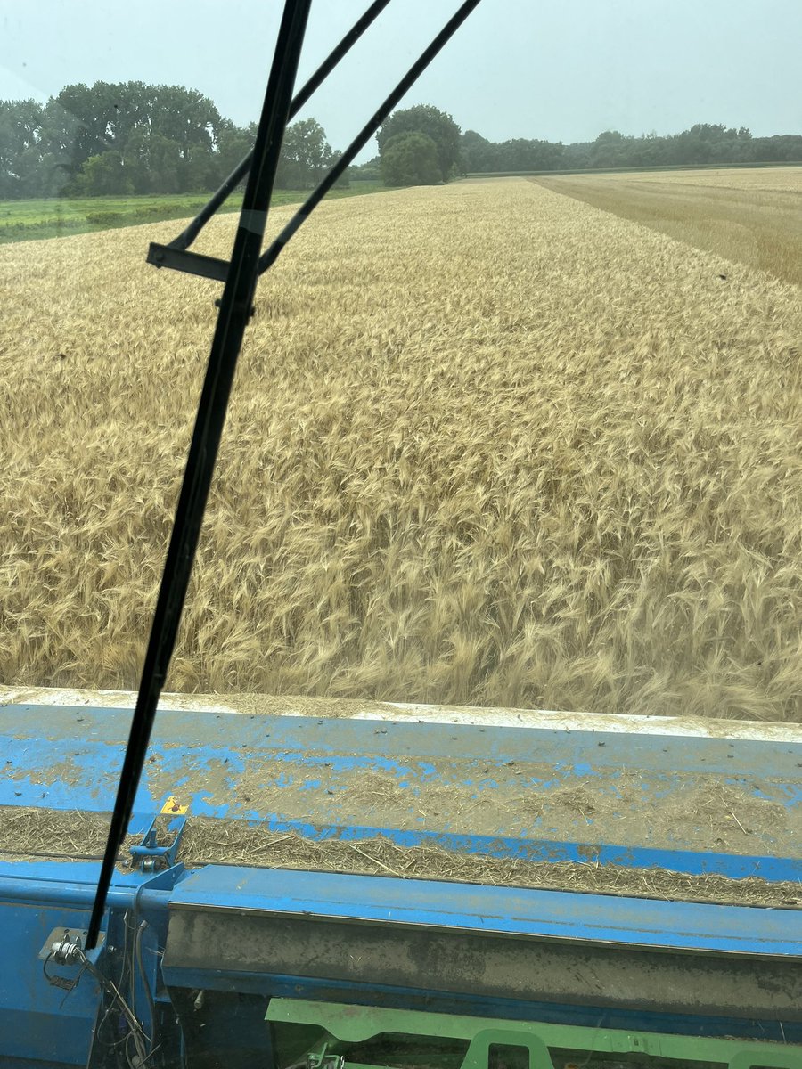 TZimmermanfarms's tweet photo. Barley moisture is perfect today. 3 days in Nebraska for the #BeyondTheYield conference is just what it needed. https://t.co/LVgeU0UknM
