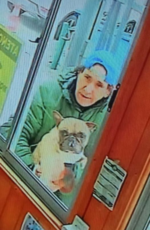 cyberfullfran's tweet photo. Se busca a perrito Rocco , este ladrón se lo llevó... foto tomada desde la cámara de seguridad de conserjería. Ubicación Plaza castelar aquí en la Cisterna, Por favor si lo ven dar aviso a Carabineros. https://t.co/0uLeeh91gJ