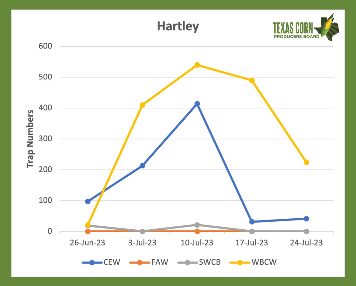 TexasCorn's tweet photo. 🚨Dallam, Hartley, and Swisher Counties🚨
Here are the weekly moth trapping updates! Learn more about the checkoff-funded program: https://t.co/jv9LptW5Fe #texascorn #mothtrapping https://t.co/iJyHMUCfdT