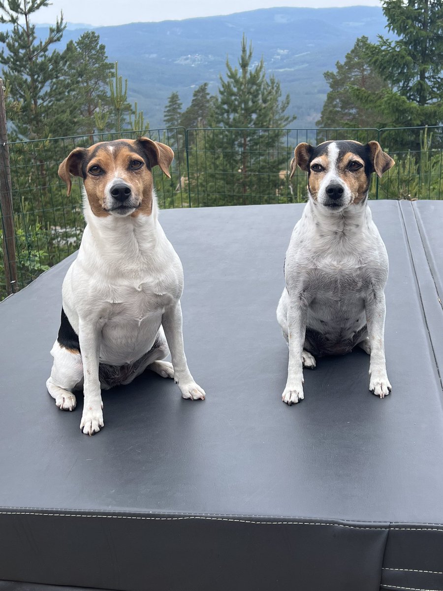 Toril Kagnes tweet media