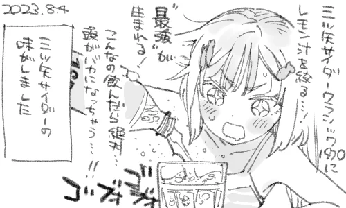 お酒にそういう飲み方があるらしいのでサイダーならもっとおいしいに違いないと信じていました