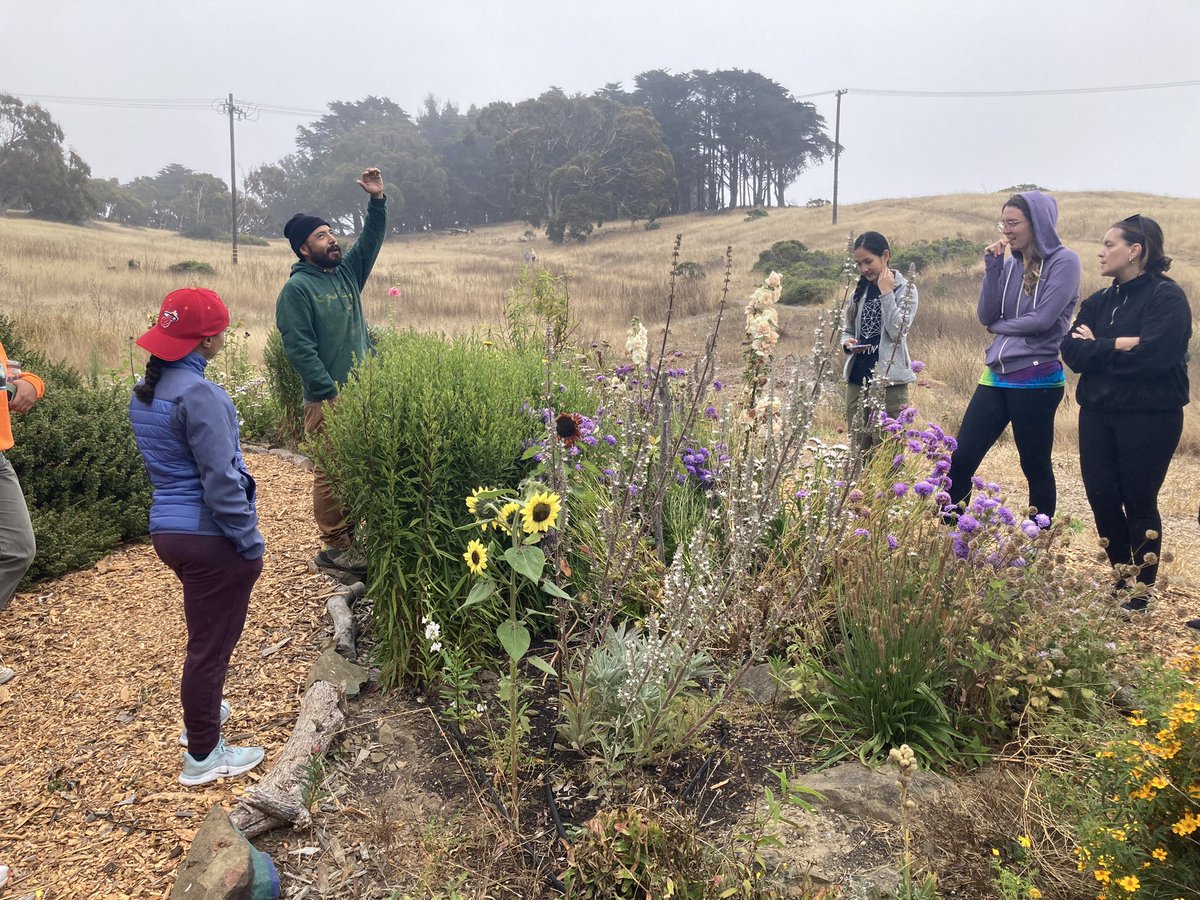 UCSF PLUS Program tweet media