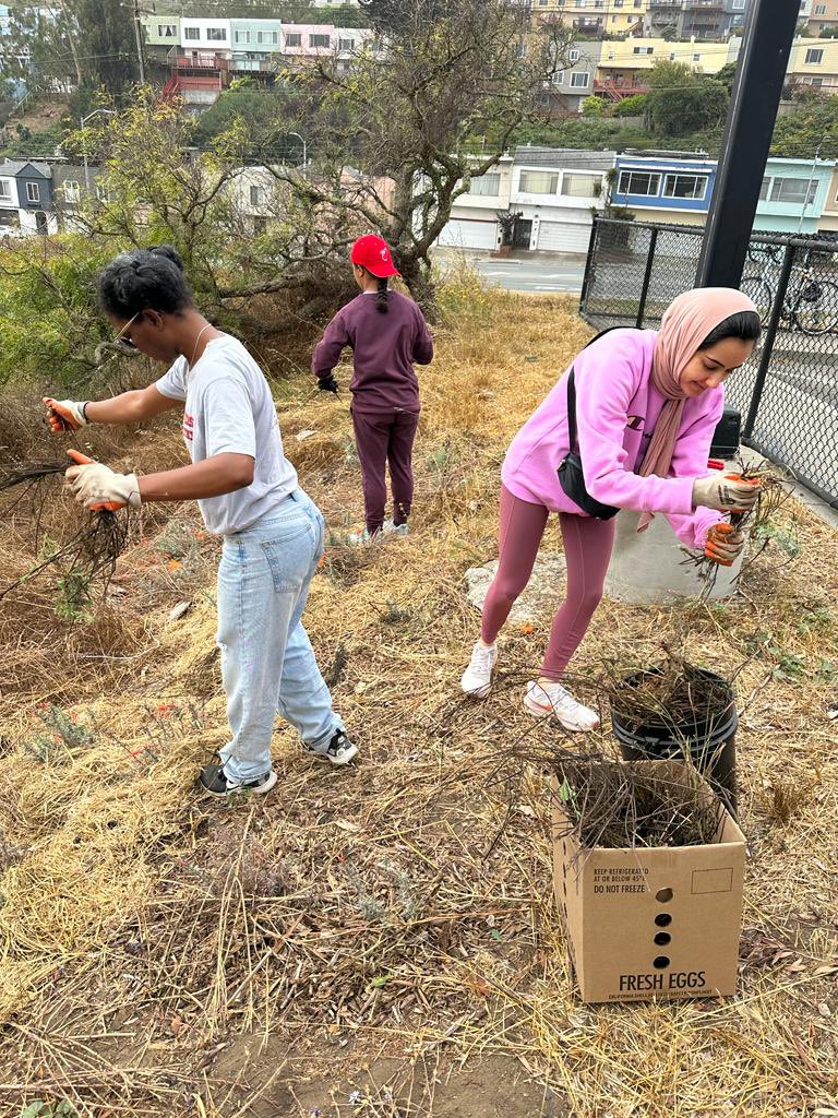 UCSF PLUS Program tweet media